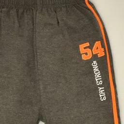 Kiwi Stay Strong Placement Embroidered Side Taped Lounge Pants  - Taupe Grey image 4