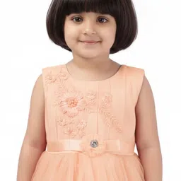 Aarika Net Fit & Flare Dress image 5