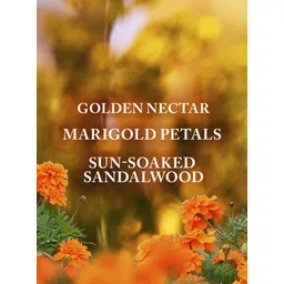 bath & body works Bath and Body Works Gingham Glow Daily Nourishing Body Lotion |236 ml / 8 fl oz |Daily Nourishing Body Lotion|Floral Fragrance|For Women image 2