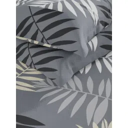 KOPA Double Bedsheet With Pillow Covers (Envogue) Grey (Queen) image 5