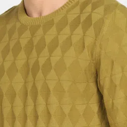 Blackberrys Men Green Geometric Pullover image 4