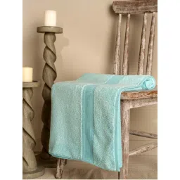 Ddecor Live Beautiful Aqua Cotton 650 GSM Bath Towel - Pack of 1-image-79