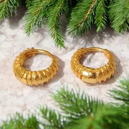 SHREE KRISHNA SHOPPING Gold-Plated Brass Earrings-picture-22