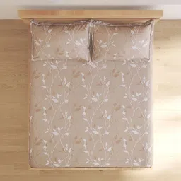 Home Centre Brown 144 TC King Bedsheet with 2 Pillow Covers image 4