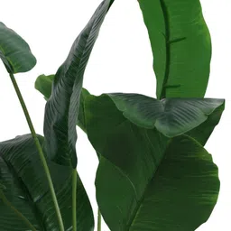 Elemntl Green Core image 3