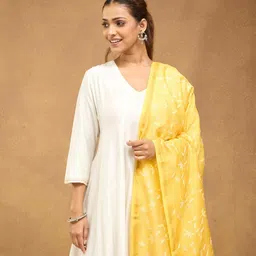 Fabindia Embroidered Cotton Silk Dupatta image 4