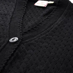 Aarika Self Design V-Neck Woollen Cardigan image 4