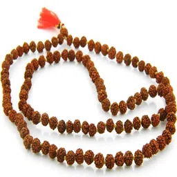 RAVIOUR LIFESTYLE Synthetic Necklace image 1