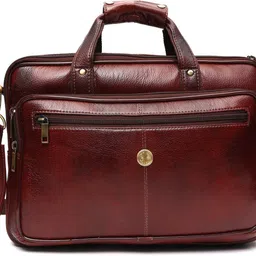 hammonds flycatcher Men & Women Brown Messenger Bag - Extra Spacious-picture-32