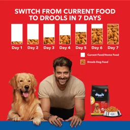 drools Chicken and Egg 20 kg Dry Adult Dog Food image 5