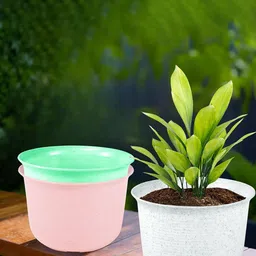 Kuber Industries 3Pcs Pink & White Textured Planters With Plate image 1