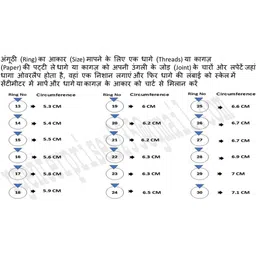 R G MART Unisex Ashtadhatu Shriyantra Shank Double Rudraksha with Para Brass Plated Ring image 3