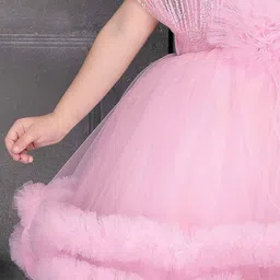 Lagorii Embellished Net Fit & Flare Dress image 2