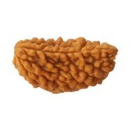 RAVIOUR LIFESTYLE Durga gems Unisex Alloy 1 Mukhi Rudraksha Natural Lab Certified Pendants-image-56