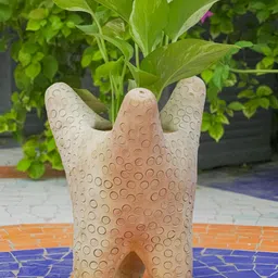 Swadeh Brown Clay Starfish Planter Pot image 5