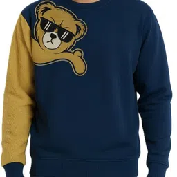 Try This Men Colourblocked Round Neck Full Sleeve Sweatshirt-image-87