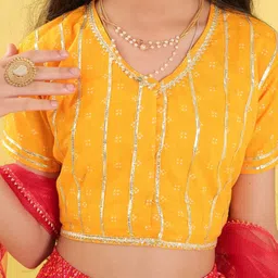 BAESD Girls Printed Ready to Wear Lehenga & Blouse With Dupatta image 5