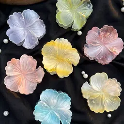 Radhya Accessories Women Set of 6 Claw Clip-picture-20