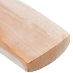 creative corner junior size-03 (bat +2ball ) Cricket Kit image 2