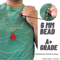 Apnisanskriti Unisex Rudraksha & Sphatik Beads Mala image 5