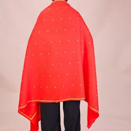 SWI Stylish Floral Embroidered Thread Work Pashmina Pure Woollen Shawl image 3