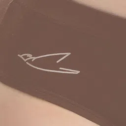 FREECULTR Pack Of 2 Soft Fabric & Snug Fit Hipster Briefs for Women image 4