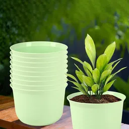 Kuber Industries 10-Pcs Light Green Flower Pot With Plate image 1