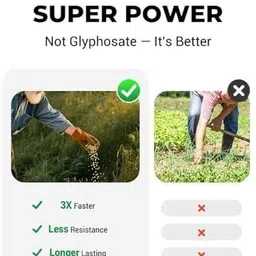 flixy Butternut Plant image 3