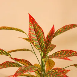 Elemntl Green Core image 3