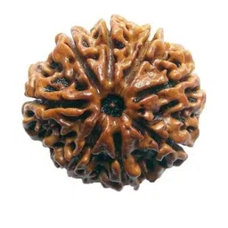 RAVIOUR LIFESTYLE Unisex Brown Pendant-image-87