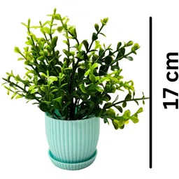 Dekorly Green Plastic Artificial Flowers & Plants With Pot image 2