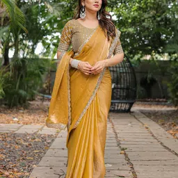 The Textile Hub Embroidered Pure Chiffon Saree image 3