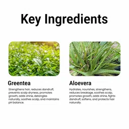 Multani Set Of 2 Green Tea & Aloevera Hair Conditioner- 270 ml Each image 5