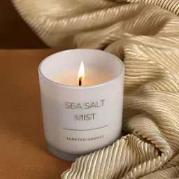 Parkash Candles White & Grey 1 pieces Jar Candle-picture-39