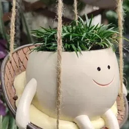 Hanging Swing Planter Pot-image-86