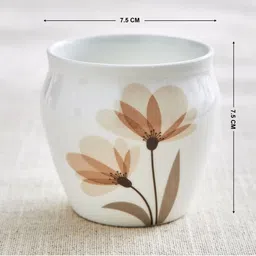 Home Centre White & Brown 3 Pieces Printed Porcelain Mugs 240ml image 3