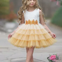 FOREVER FRIDAY Embroidered A-Line Dress-picture-27