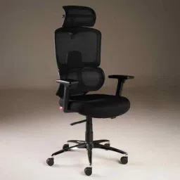 durian Vestra High Back Ergonomic Chair In Black Finish-picture-16