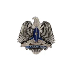 Curren Contemporary Statement Brooch image 2