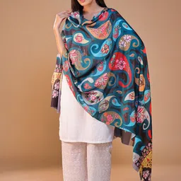 SWI Stylish Women Ethnic Motifs Woven Design Shawl-picture-21
