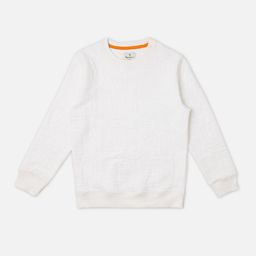 Pepe Jeans Boys Solid Round Neck Cotton Pullover Sweatshirt-picture-36