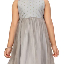 BAESD Net Fit & Flare Dress image 2