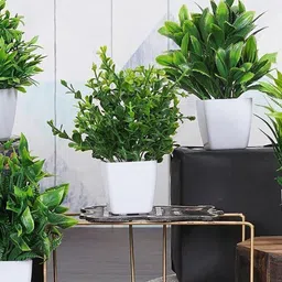 Dekorly Multi Plastic Artificial Flowers & Plants With Pot image 3