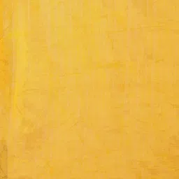 Kishori Sarees Bandhani Zari Pure Silk Saree image 3