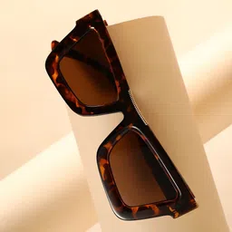 French Accent Men Cateye Sunglasses with Polarised Lens-picture-26