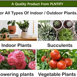 Pack of 40 Plant Food Sticks for All Type of Indoor and Outdoor Plants Potting Mixture-image-9