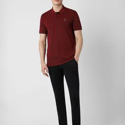 Van Heusen Flex Men Solid Polo Collar Cotton T-shirt image 5