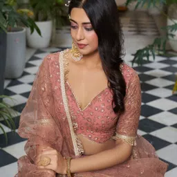 Ethniqlo Embroidered Sequinned Semi-Stitched Lehenga & Blouse With Dupatta image 3