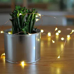 xenith 20 LEDs 2.03 m Yellow Steady String Rice Lights image 4
