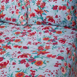SHAHENAZ Blue & Pink Floral 120 TC Queen Bedsheet with 2 Pillow Covers-image-69